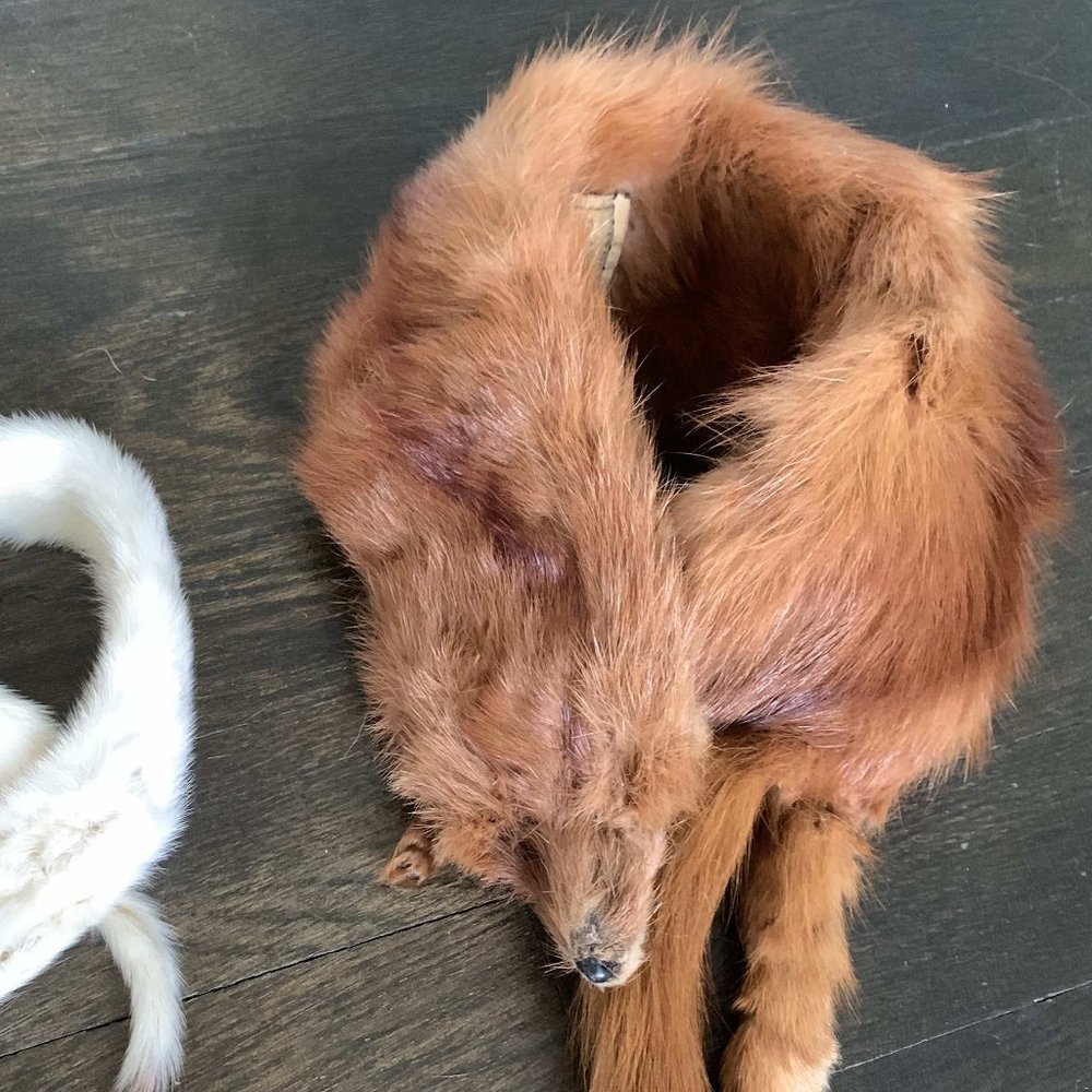 1 Vintage mink ( Sable ) pelt   1940